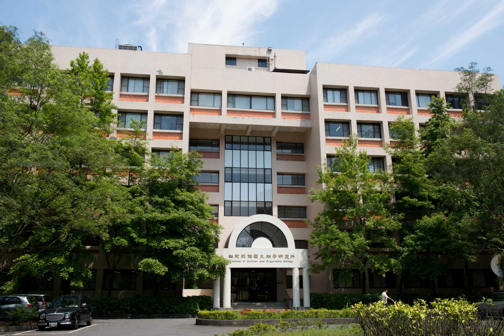 ICOB.jpg picture